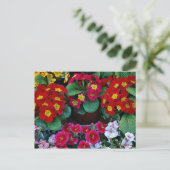 旅行用はがき4 ポストカード (スタンド正面)