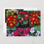 旅行用はがき4 ポストカード (正面/裏面)