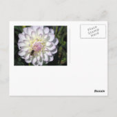 旅行用はがき4 ポストカード (裏面)