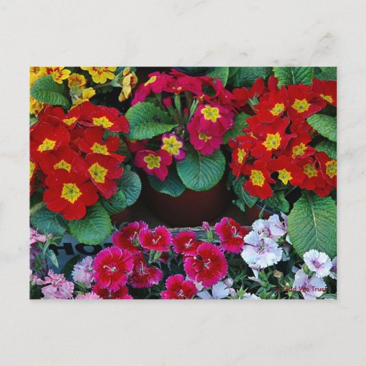 旅行用はがき4 ポストカード (正面)