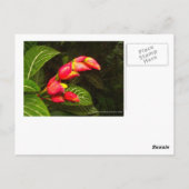 旅行用はがき5 ポストカード (裏面)