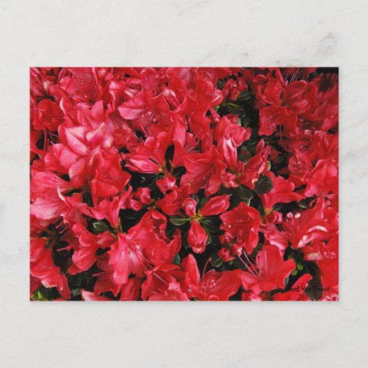 旅行用はがき5 ポストカード (正面)