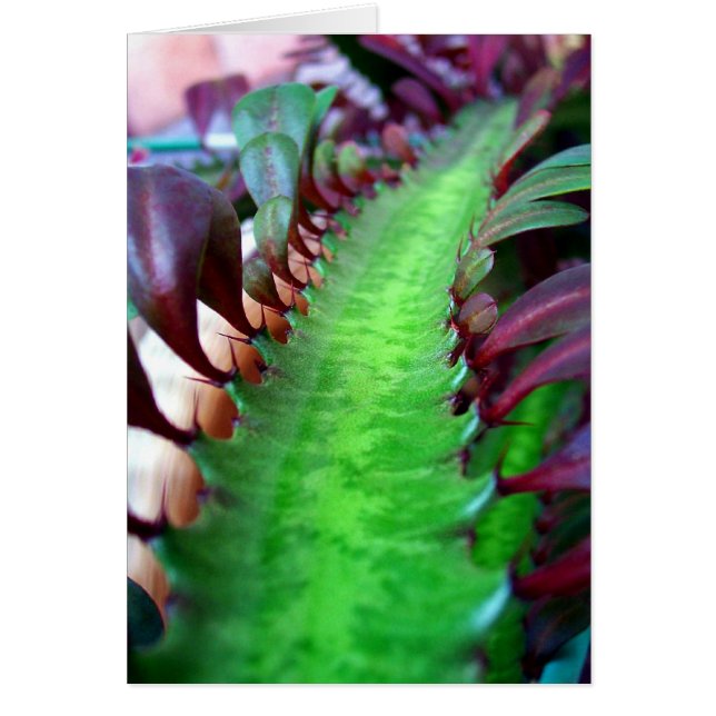 旅行者が少ない道 (正面)