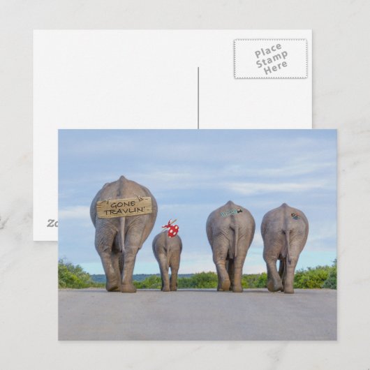 旅行象はがき ポストカード (正面/裏面)