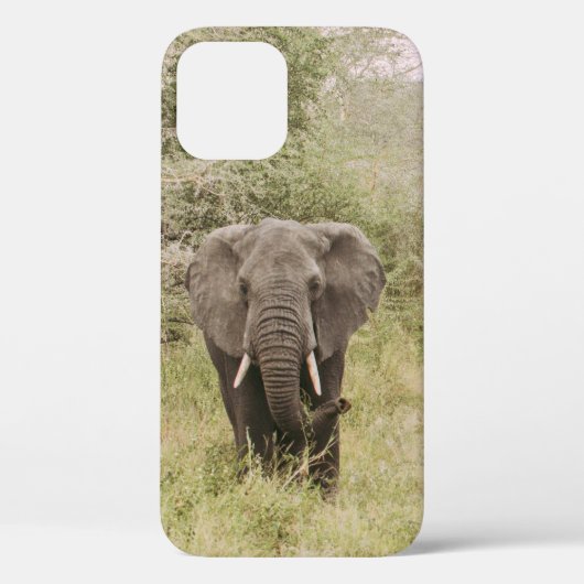 旅行車を見ている象 Case-Mate iPhoneケース (裏面)