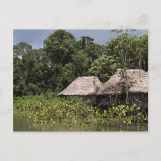 旅行集金はがき11 ポストカード