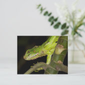 旅行集金はがき12 ポストカード (スタンド正面)