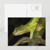 旅行集金はがき12 ポストカード (正面/裏面)