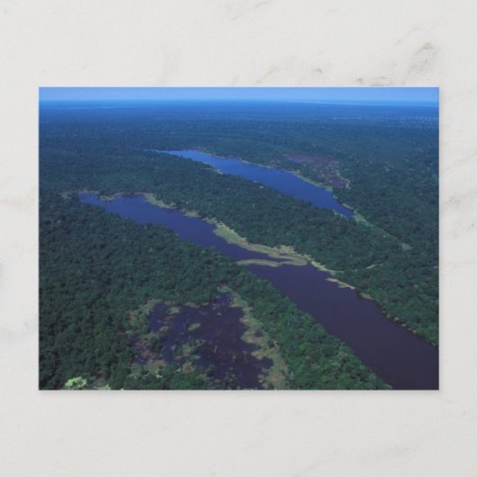 旅行集金はがき3 ポストカード (正面)