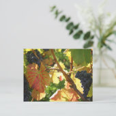 旅行集金はがき65 ポストカード (スタンド正面)