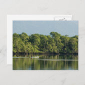 旅行集金はがき6 ポストカード (正面/裏面)