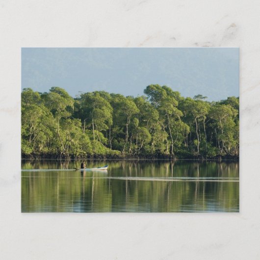 旅行集金はがき6 ポストカード (正面)