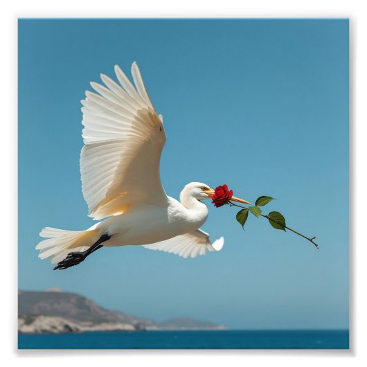 旅行鳥 フォトプリント            (正面)