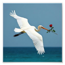 旅行鳥 フォトプリント           