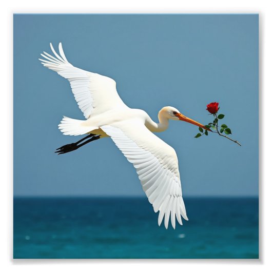 旅行鳥 フォトプリント            (正面)