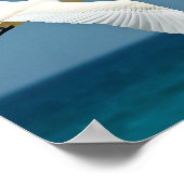 旅行鳥 ポスター (角)