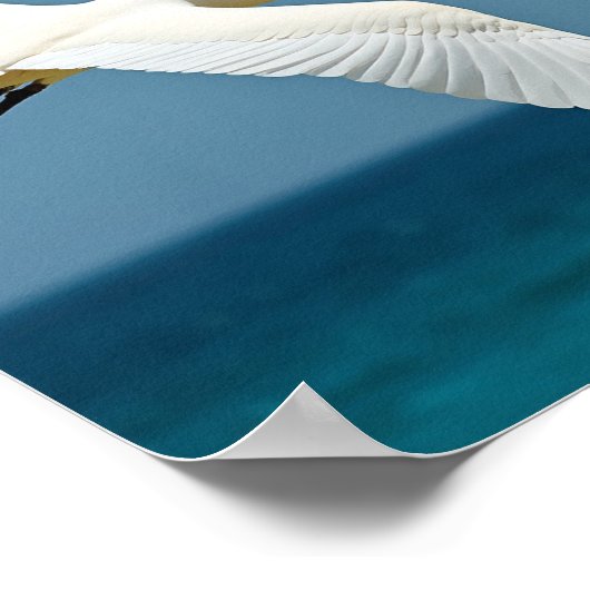 旅行鳥 ポスター (角)