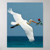 旅行鳥 ポスター (正面)