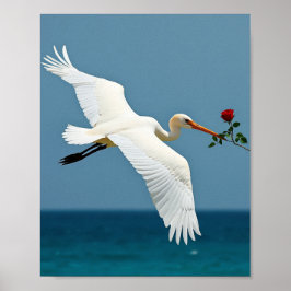 旅行鳥 ポスター