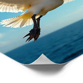 旅行鳥 ポスター (角)