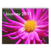 旅行2011年 カレンダー (カバー)