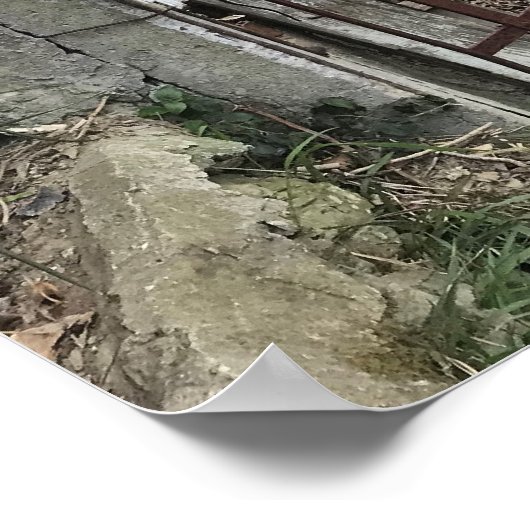 旅行 |イタリア – モンテロッソアルマーレオールドドア ポスター (角)