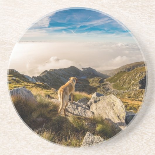 旅行 コースター (正面)