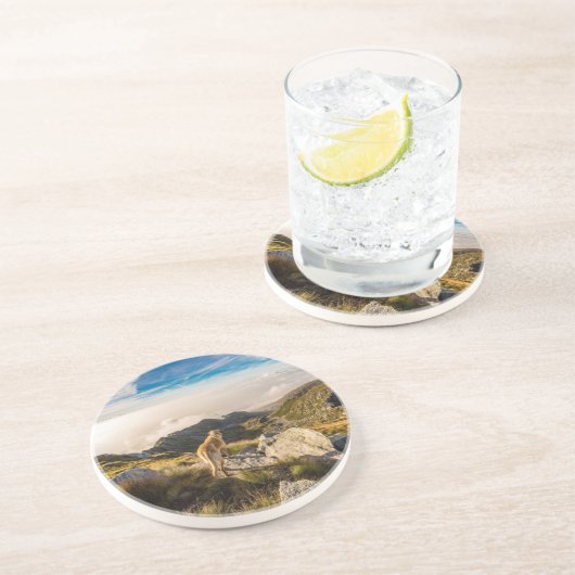 旅行 コースター (側面)