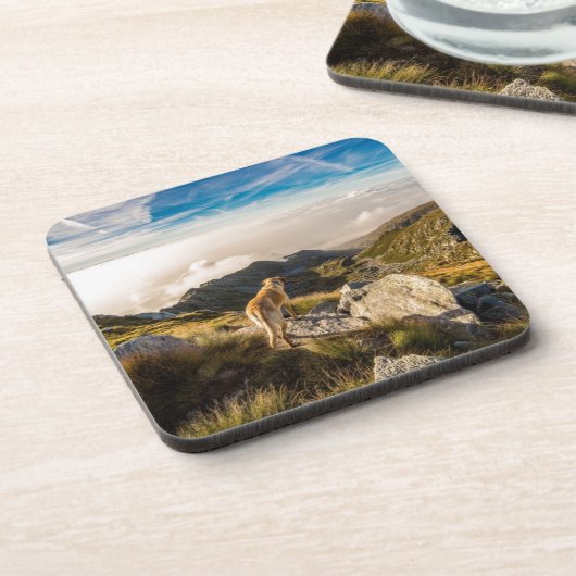 旅行 コースター (左側)