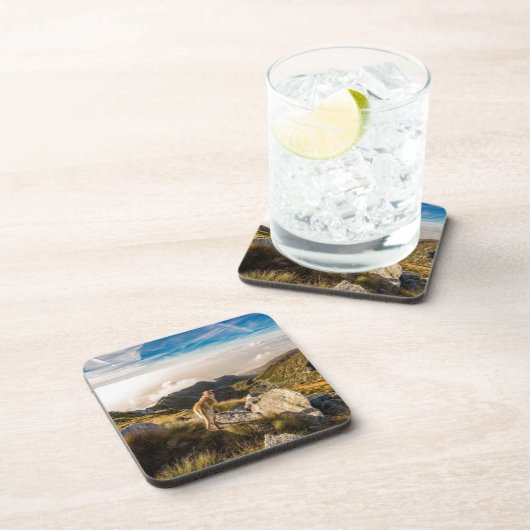 旅行 コースター (右側)