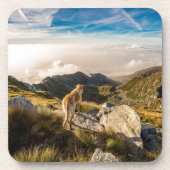 旅行 コースター (正面)