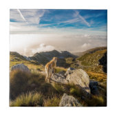 旅行 タイル (正面)