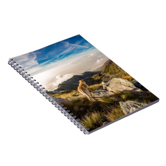 旅行 ノートブック (右側)