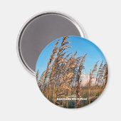 旅行 |フロリダ州 – アナスタシアセントパークシーオats マグネット (正面/裏面)