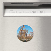 旅行 |フロリダ州 – アナスタシアセントパークシーオats マグネット (インサイチュ (食洗機))