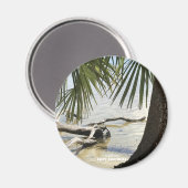 旅行 |フロリダ州 – ケープサンブラスドリフトウッドビーチ マグネット (正面/裏面)