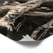 旅行 |フロリダ州 – ケープサンブラスビーチ ポスター (角)