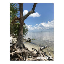 旅行 |フロリダ州 – ケープサンブラスビーチ