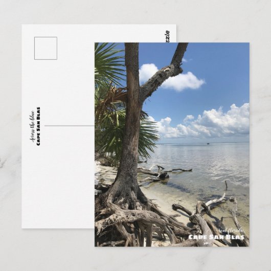 旅行 |フロリダ州 – ケープサンブラスビーチ ポストカード (正面/裏面)