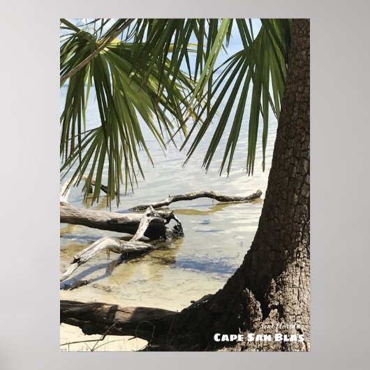 旅行 |フロリダ州 – Cape San Blas Driftwood ポスター (正面)