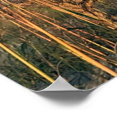 旅行 |フロリダ – アナスタシア州パークシーオアツ ポスター (角)