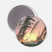 旅行 |フロリダ – アナスタシア海のオート マグネット (正面/裏面)