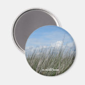 旅行 |フロリダ – セントジョージアイランドシーグラス マグネット (正面/裏面)