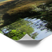 旅行 |フロリダ – ブルーホール春霧の朝 ポスター (角)