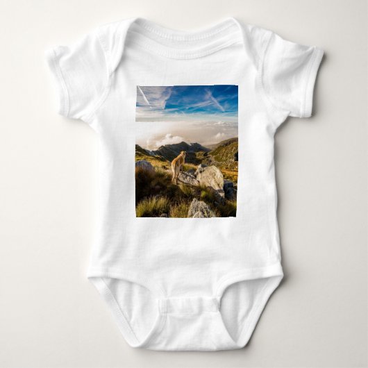 旅行 ベビーボディスーツ (正面)