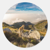 旅行 ラウンドシール (正面)