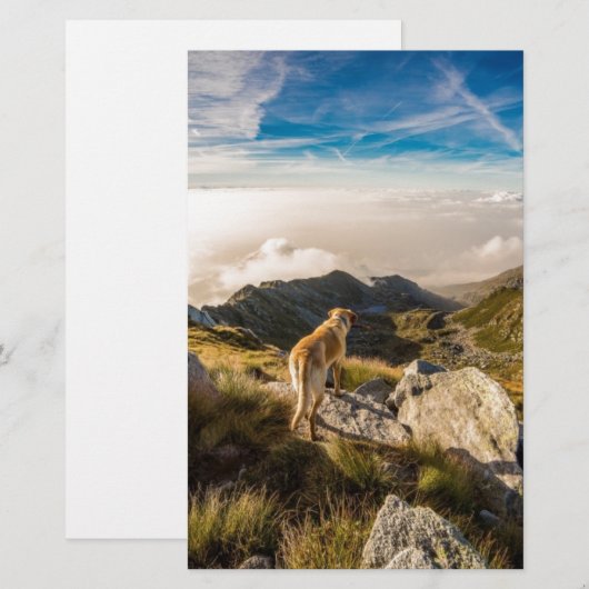 旅行 便箋 (正面/裏面)