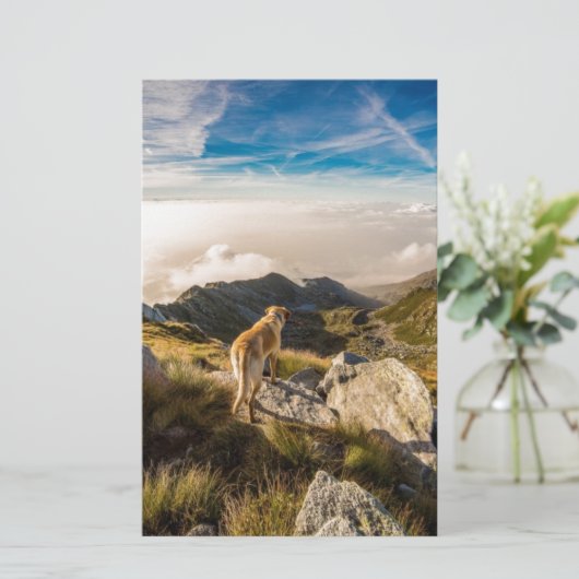 旅行 便箋 (スタンド正面)