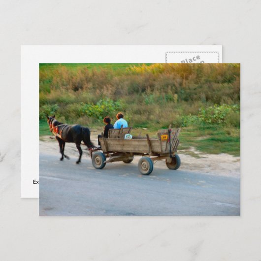 旅行(馬とカート、ルーマニア) ポストカード (正面/裏面)