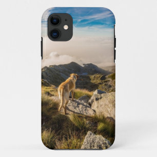 旅行 iPhone 11 ケース